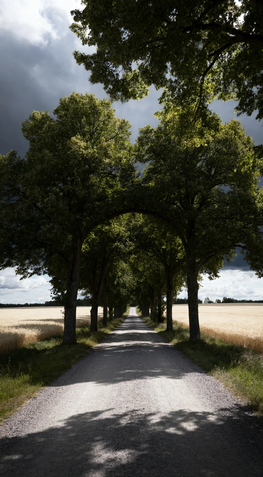 Empty Scandinavian Country Lane — image prompt preview