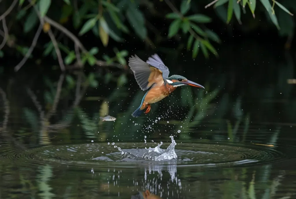 Kingfisher Diving Toward a Still River — image prompt preview
